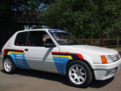 Peugeot 205 T16 Works Rally Decals
